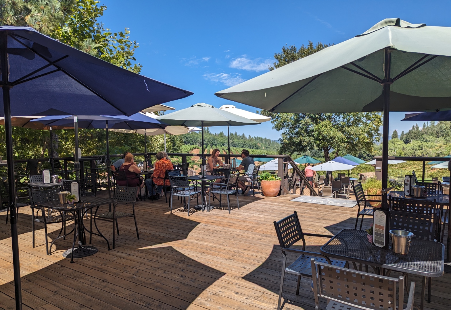 El Dorado vineyards