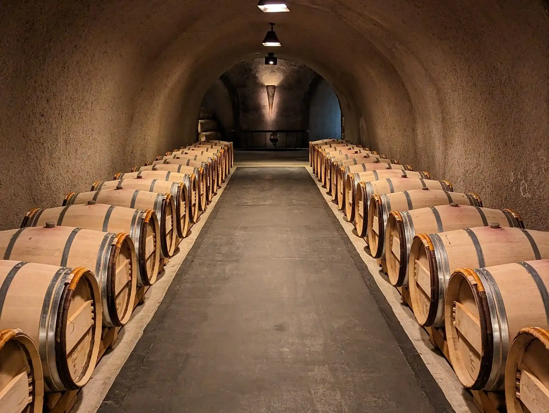 NapSac Wine Tours — wine barrels cellar