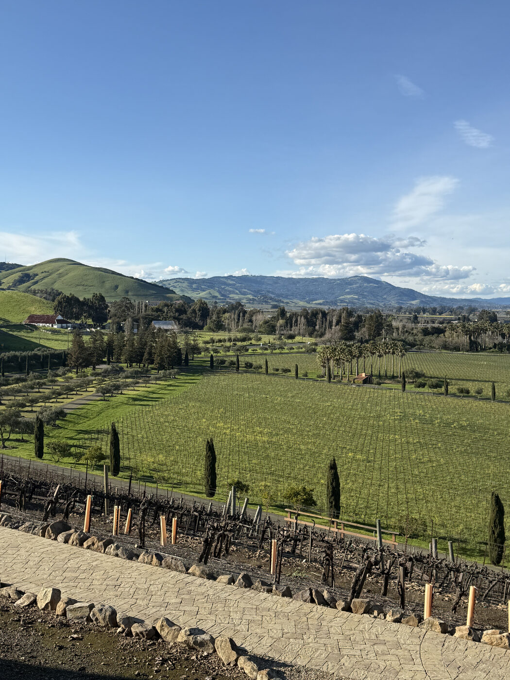 Sonoma wine country
