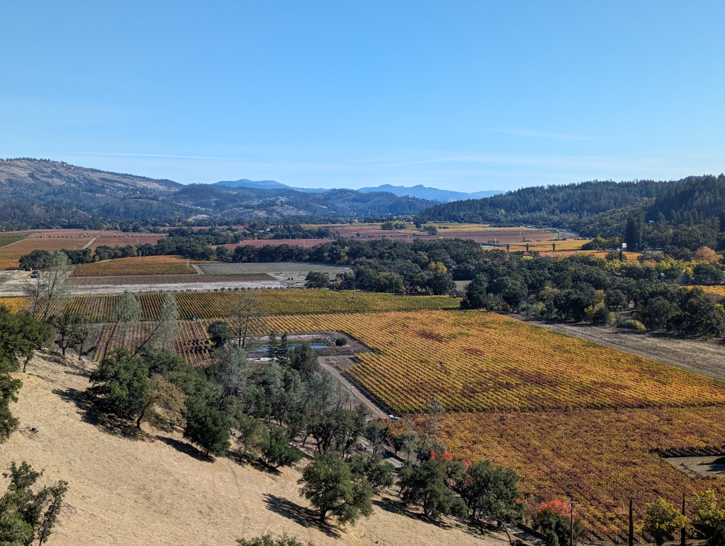 Napa wine country
